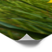 グッドデイはナースポスター素晴らし看護から始まる ポスター (角)