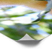 グッドフェラーズツリーカンガルー ポスター (角)