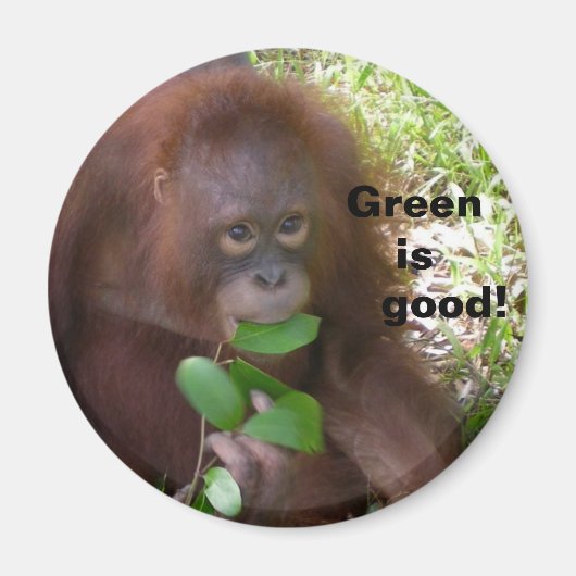 グッドベジエダイエット マグネット (正面)