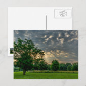 グッドモーニングオザーク葉書 ポストカード (正面/裏面)