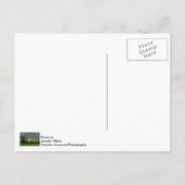 グッドモーニングオザーク葉書 ポストカード (裏面)