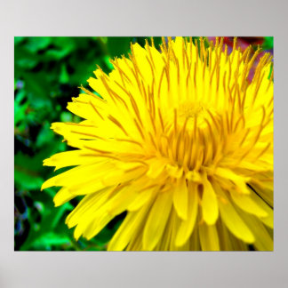 グッドモーニングサンシャイン ポスター