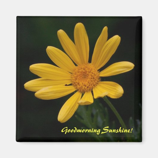 グッドモーニングサンシャイン マグネット (正面)