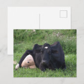 グッドモーニングWI ポストカード (正面/裏面)