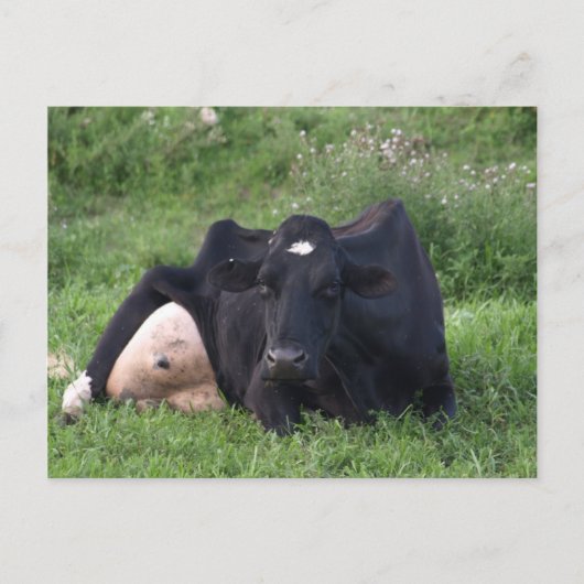 グッドモーニングWI ポストカード (正面)