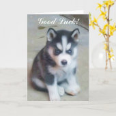 グッドラックシベリアのハスキー犬のカード カード (黄色い花)