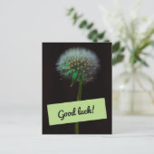 グッドラックダンデロン ポストカード (スタンド正面)