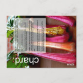 グッド グローイング ガイド:カボチャ&チャード ポストカード (裏面)