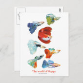 グッピー·グッズ ポストカード (正面/裏面)