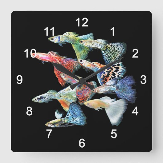 グッピー スクエア壁時計 (正面)