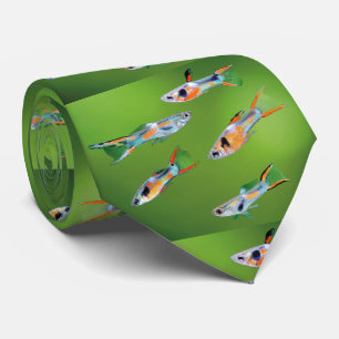 グッピー ネクタイ