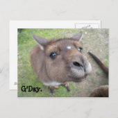 グデイ。 ポストカード (正面/裏面)