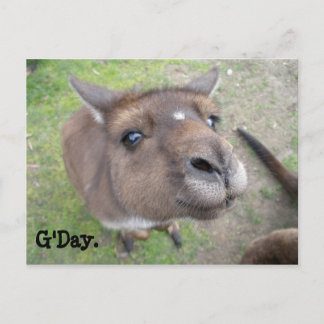 グデイ。 ポストカード