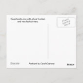 グナホシドスパイダーはがき ポストカード (裏面)