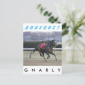 グナーリー ポストカード (スタンド正面)