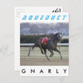 グナーリー ポストカード (正面/裏面)