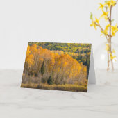 グニソン国有林 カード (黄色い花)