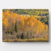 グニソン国有林 フォトプラーク (正面)