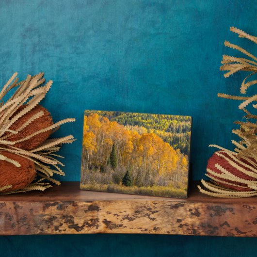 グニソン国有林 フォトプラーク (側面)