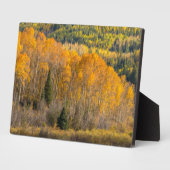 グニソン国有林 フォトプラーク (側面)