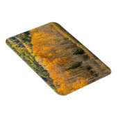 グニソン国有林 マグネット (右側)