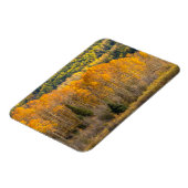 グニソン国有林 マグネット (左側)