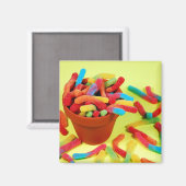 グミカラフルムキャンディ磁石 マグネット (正面/裏面)