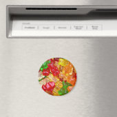 グミベア磁石 マグネット (インサイチュ (食洗機))