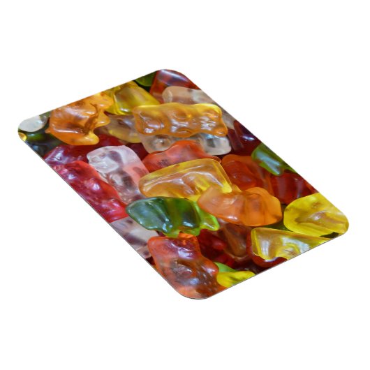 グミ磁石 マグネット (右側)