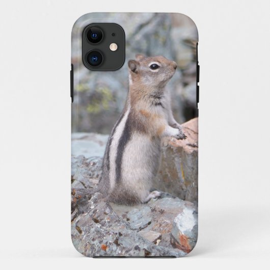 グライシアーIIのキバラシマリス Case-Mate iPhoneケース (裏面)