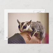 グライダー用はがき ポストカード (正面/裏面)