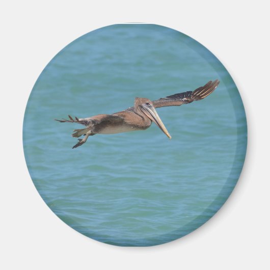 グライディングペリカン マグネット (正面)