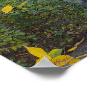 グライディング反射 ポスター (角)