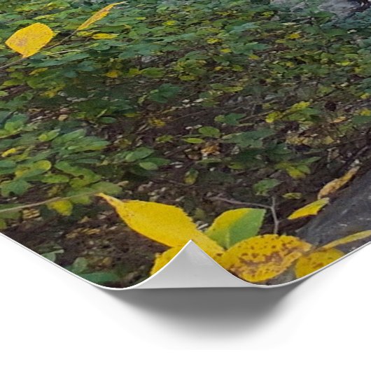 グライディング反射 ポスター (角)