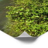 グラインネルクリークアットグレイシャーナショナルパーク ポスター (角)