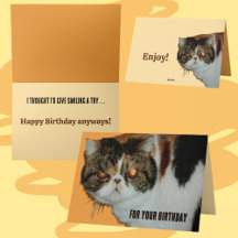 グラウチー不機嫌な猫エキゾチックなペルシャおもしろい誕生日