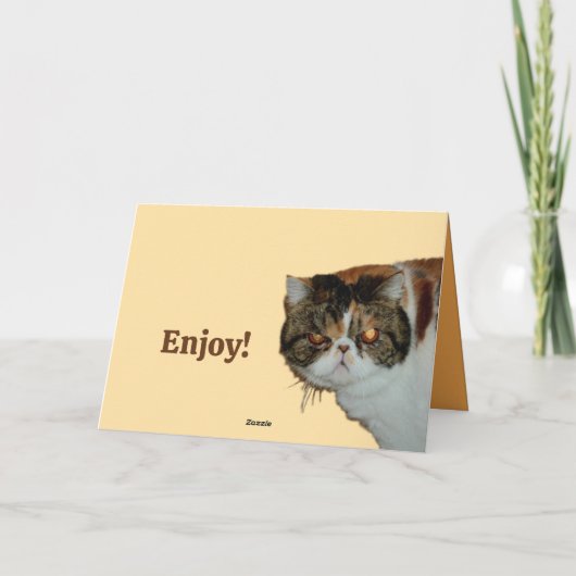 グラウチー不機嫌な猫エキゾチックなペルシャおもしろい誕生日 カード (裏面)