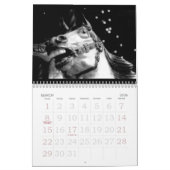 グラウンドアップ カレンダー (3月 2026)