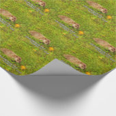 グラウンドホッグの日があなたにタイディング！ラッピング紙 ラッピングペーパー (角)