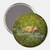 グラウンドホッグの日の奇跡の磁石だ マグネット (正面/裏面)