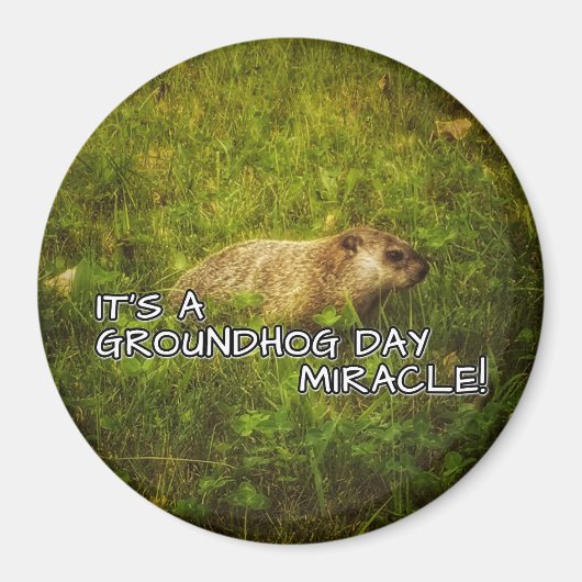 グラウンドホッグの日の奇跡の磁石だ マグネット (正面)