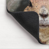 グラウンドホッグの日の極渦 マウスパッド (コーナー)