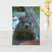 グラウンドホッグの日！ カード (黄色い花)