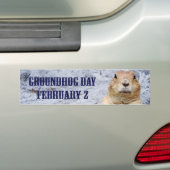 グラウンドホッグの日 バンパーステッカー (車上)