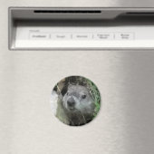 グラウンドホッグの日 マグネット (インサイチュ (食洗機))