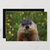 グラウンドホッグは味わえる 招待状 (正面/裏面)