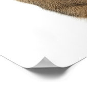 グラウンドホッグアート ポスター (角)