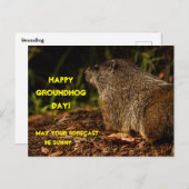 グラウンドホッグサニー ポストカード (正面/裏面)