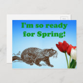 グラウンドホッグデー準備完了春休日 シーズンポストカード (正面/裏面)