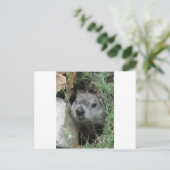 グラウンドホッグデー ポストカード (スタンド正面)